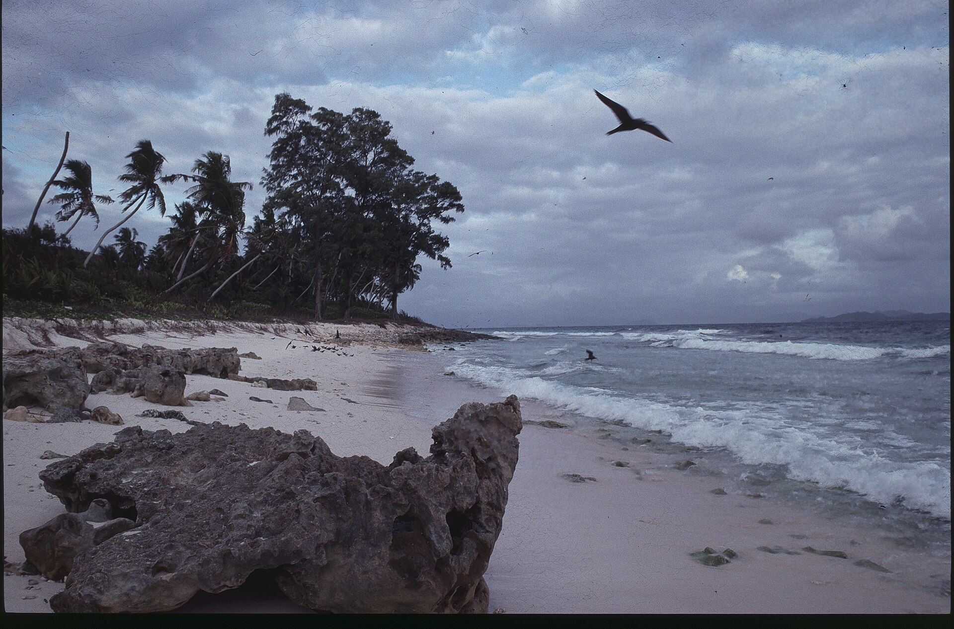 Aride, Seicheles, imagem 1