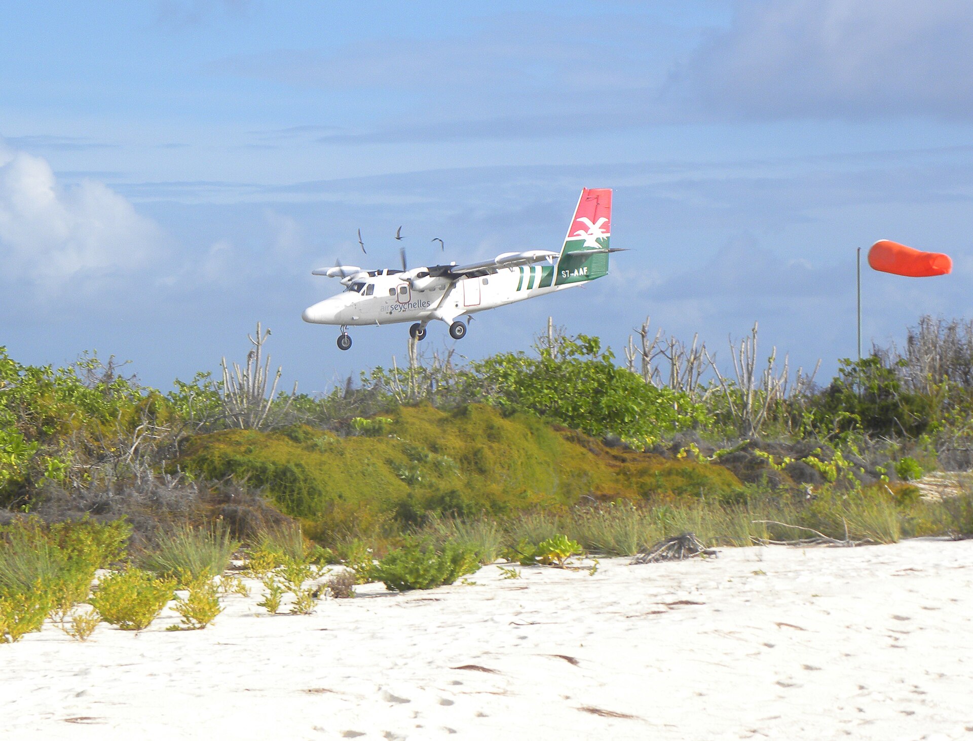 Bird Island, Seicheles, imagem 3