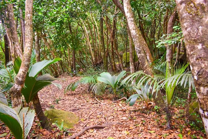 Tour privado de Mahé, dia inteiro